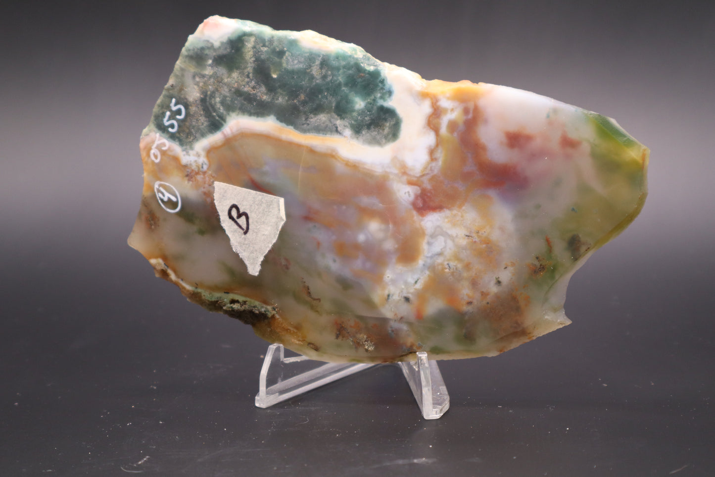 Ocean Jasper slab (Unpolished)