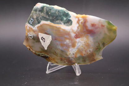 Ocean Jasper slab (Unpolished)