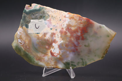 Ocean Jasper slab (Unpolished)