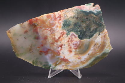 Ocean Jasper slab (Unpolished)