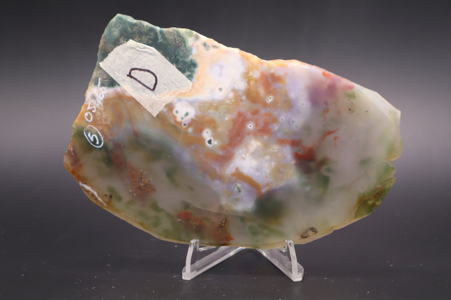 Ocean Jasper slab (Unpolished)