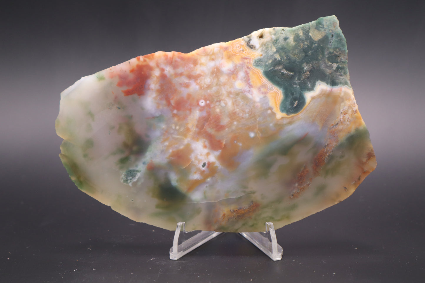 Ocean Jasper slab (Unpolished)