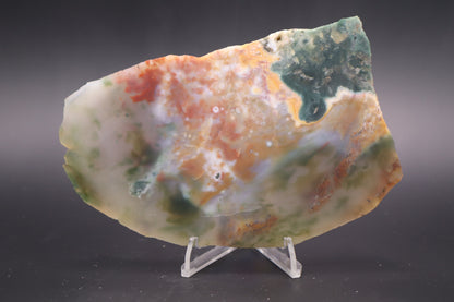 Ocean Jasper slab (Unpolished)