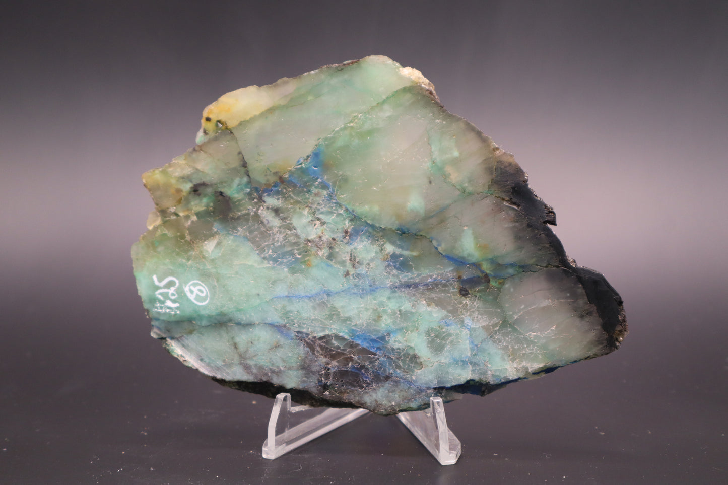 Azurite, Malachite & Chalcedony slab - Afghanistan (Unpolished)