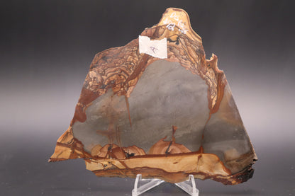 Biggs Jasper slab (Unpolished)