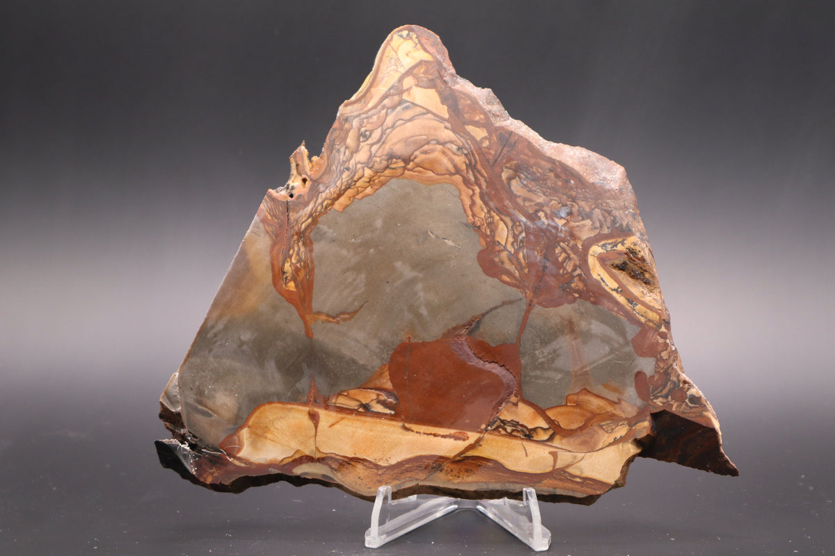 Biggs Jasper slab (Unpolished)