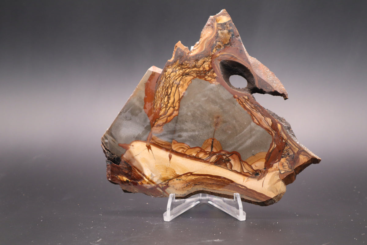 Biggs Jasper slab (Unpolished)
