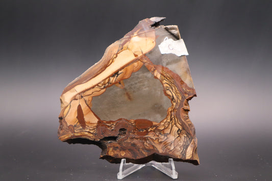 Biggs Jasper slab (Unpolished)