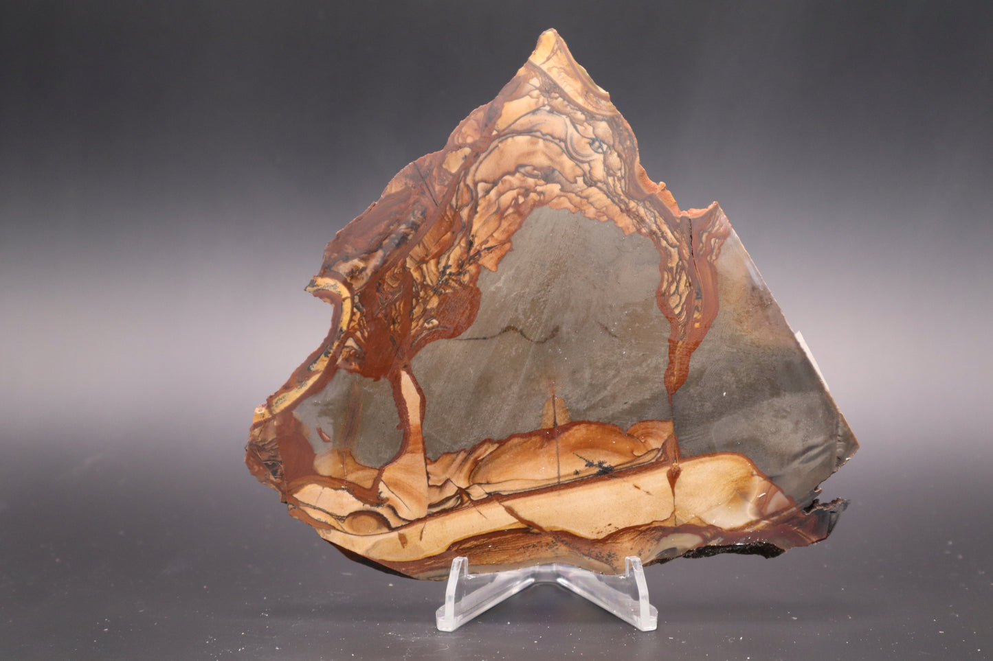 Biggs Jasper slab (Unpolished)