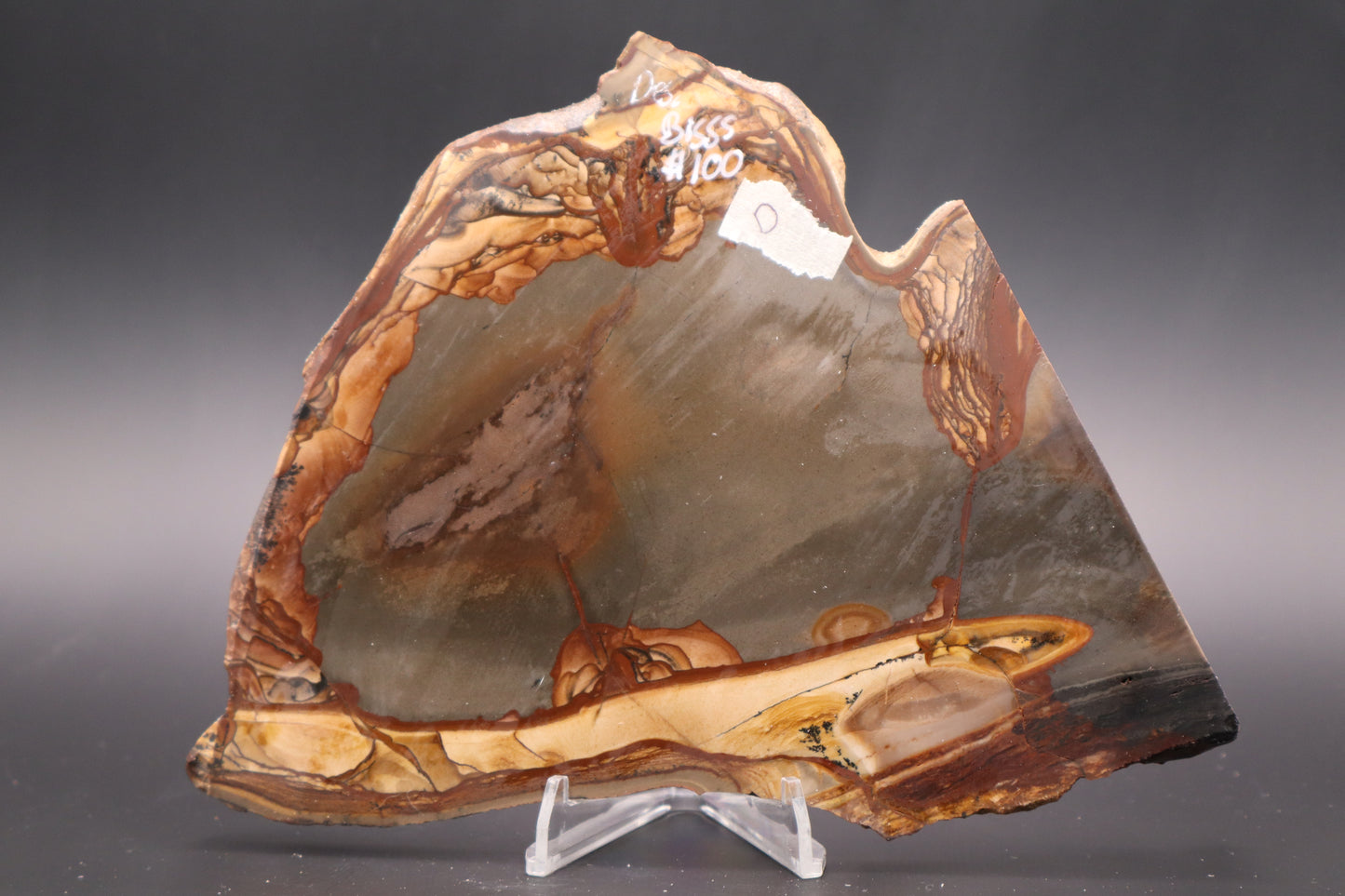 Biggs Jasper slab (Unpolished)