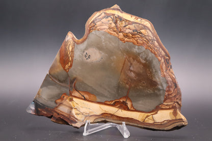Biggs Jasper slab (Unpolished)