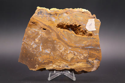 Golden Plum Moss Agate slab (Unpolished)
