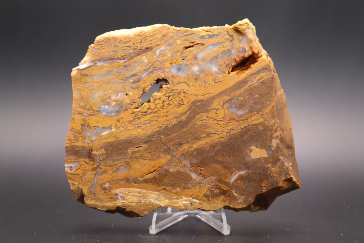Golden Plum Moss Agate slab (Unpolished)