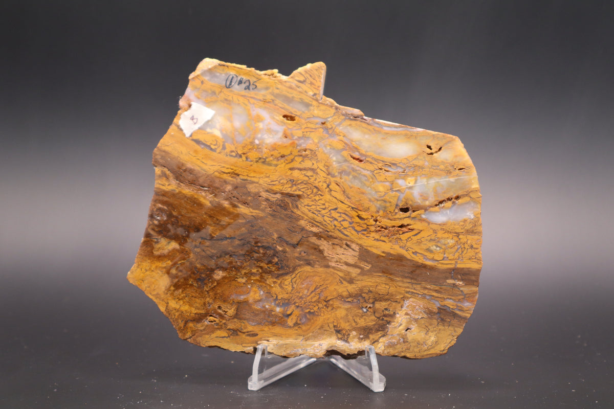 Golden Plum Moss Agate slab (Unpolished)