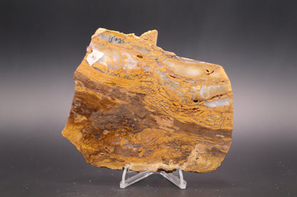 Golden Plum Moss Agate slab (Unpolished)