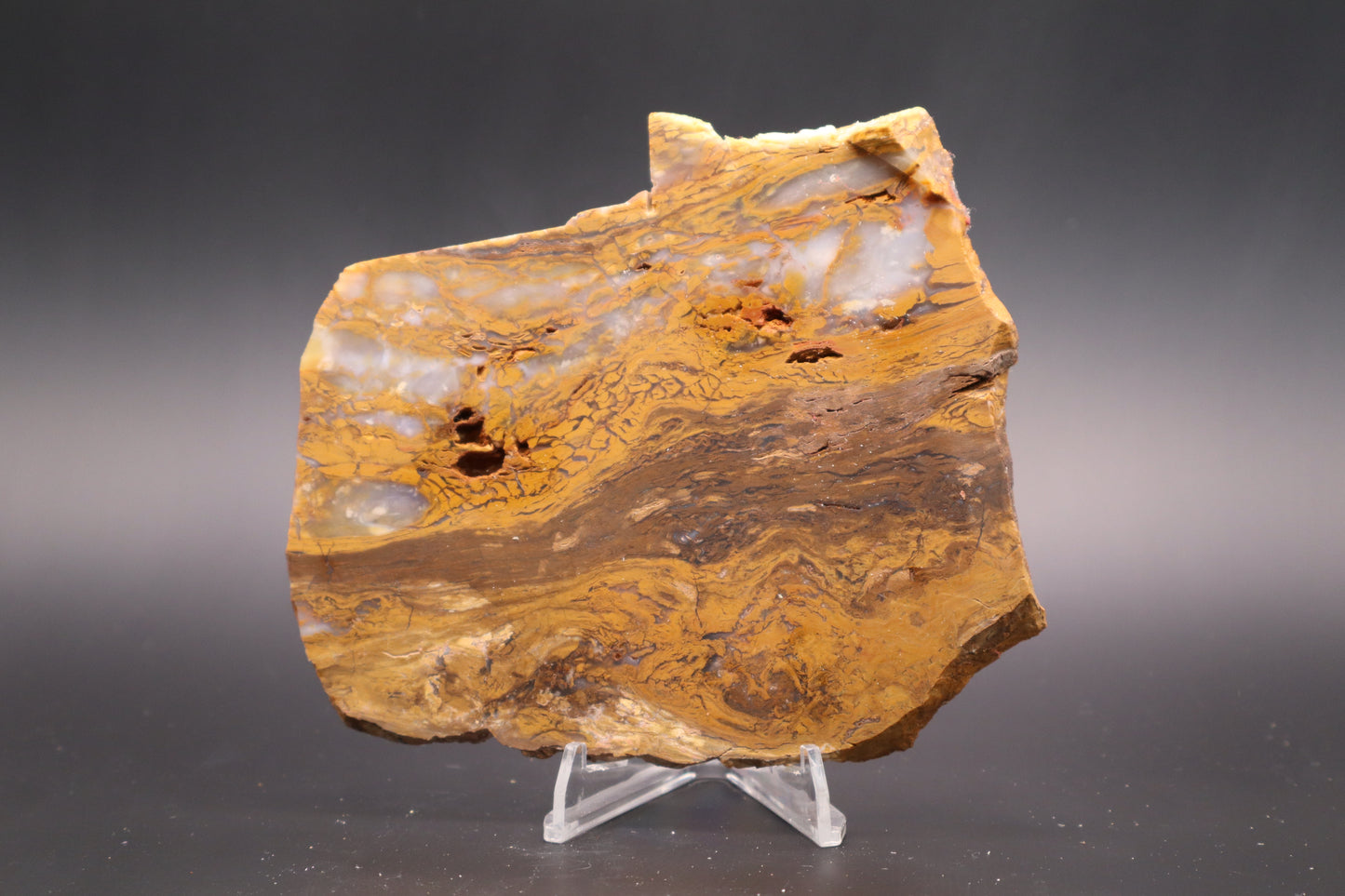 Golden Plum Moss Agate slab (Unpolished)