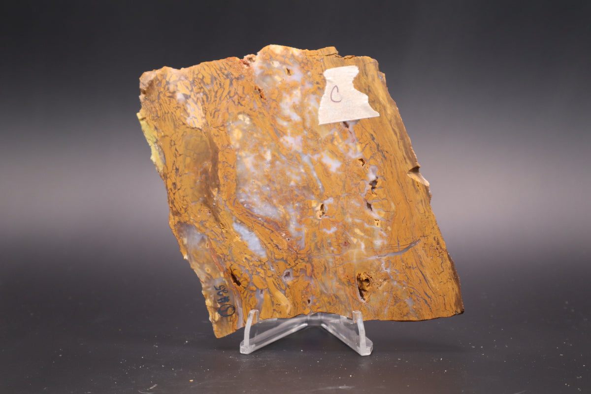 Golden Plum Moss Agate slab (Unpolished)