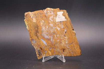 Golden Plum Moss Agate slab (Unpolished)