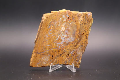 Golden Plum Moss Agate slab (Unpolished)