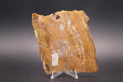 Golden Plum Moss Agate slab (Unpolished)