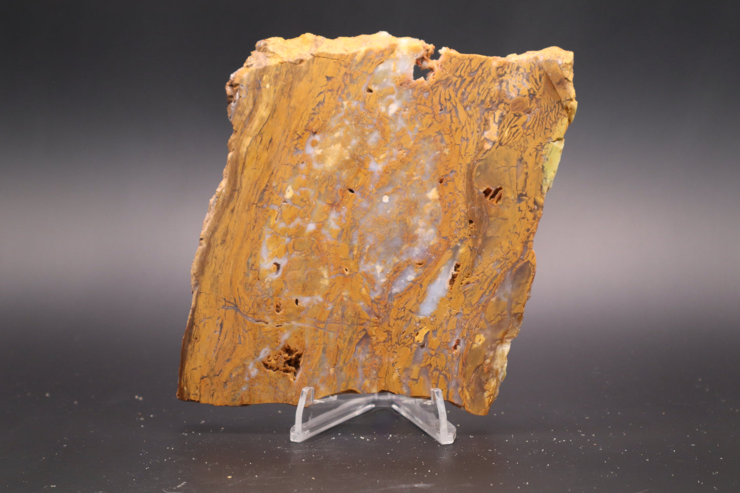 Golden Plum Moss Agate slab (Unpolished)