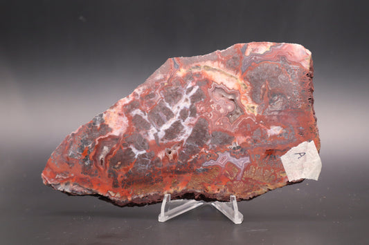 Rosetta Lace Agate slab (Unpolished)