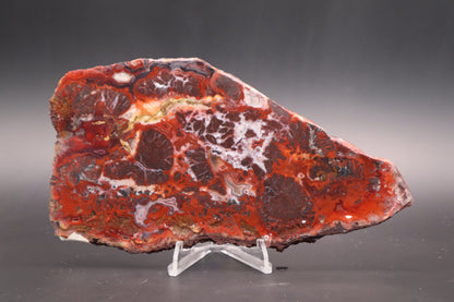 Rosetta Lace Agate slab (Unpolished)