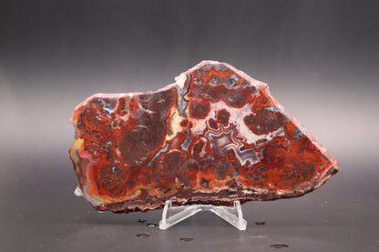 Rosetta Lace Agate slab (Unpolished)