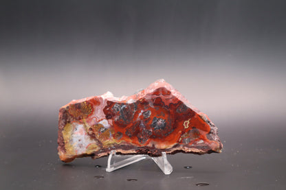 Rosetta Lace Agate slab (Unpolished)