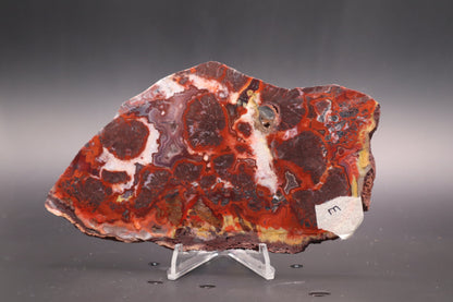 Rosetta Lace Agate slab (Unpolished)