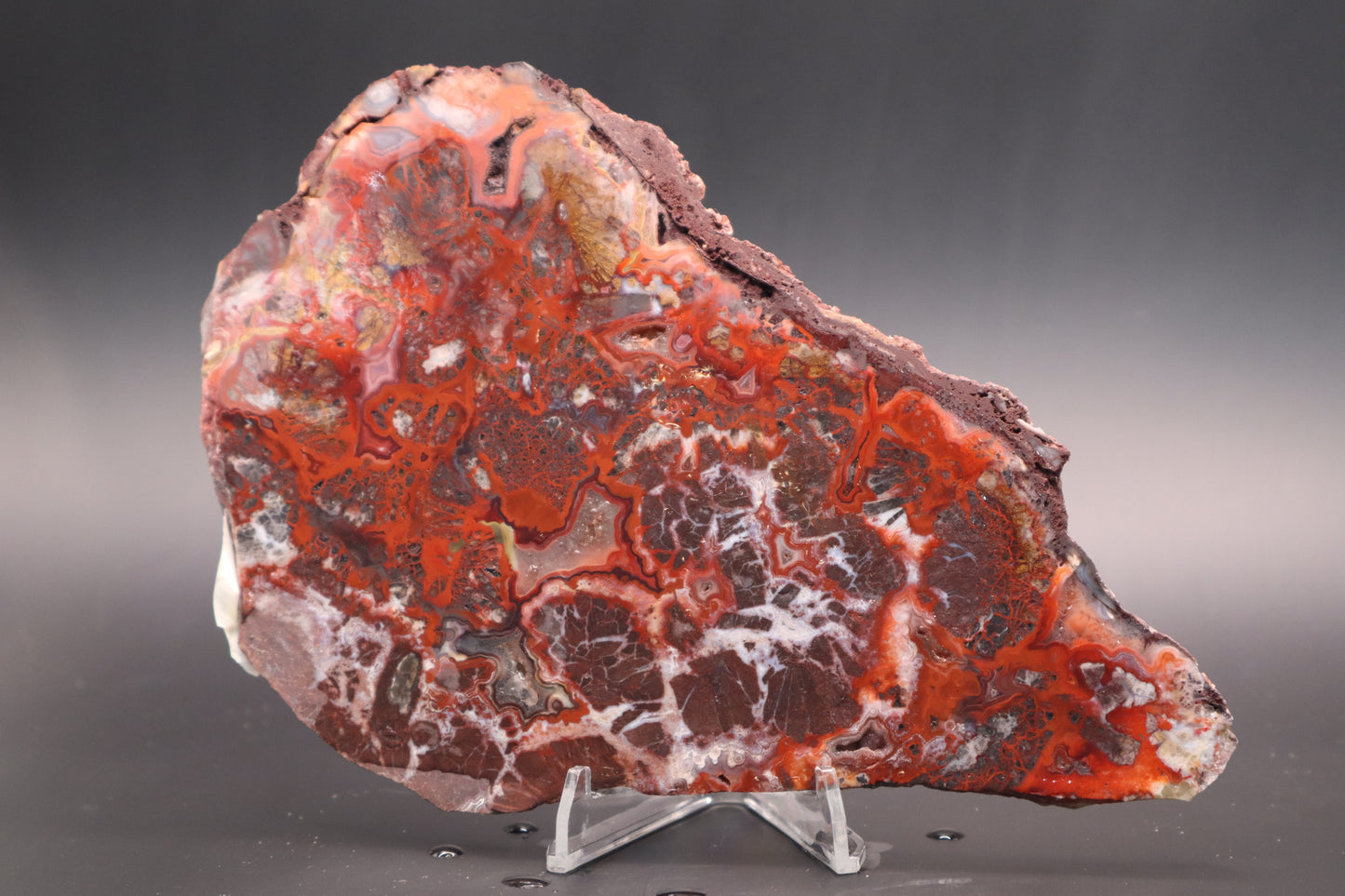 Rosetta Lace Agate slab (Unpolished)