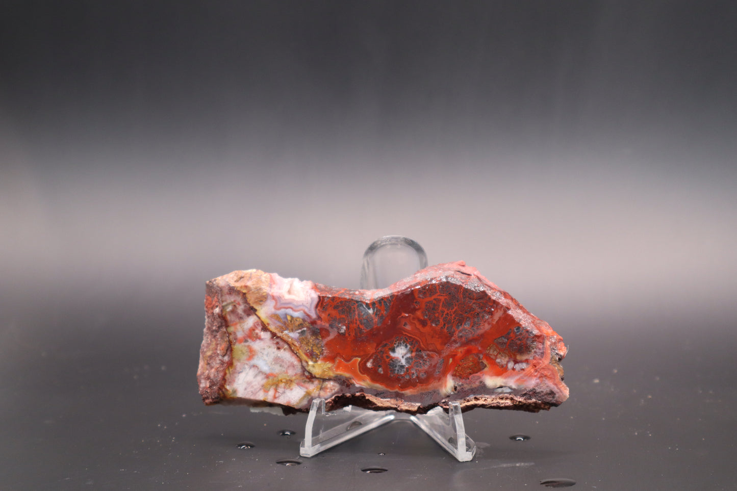 Rosetta Lace Agate slab (Unpolished)
