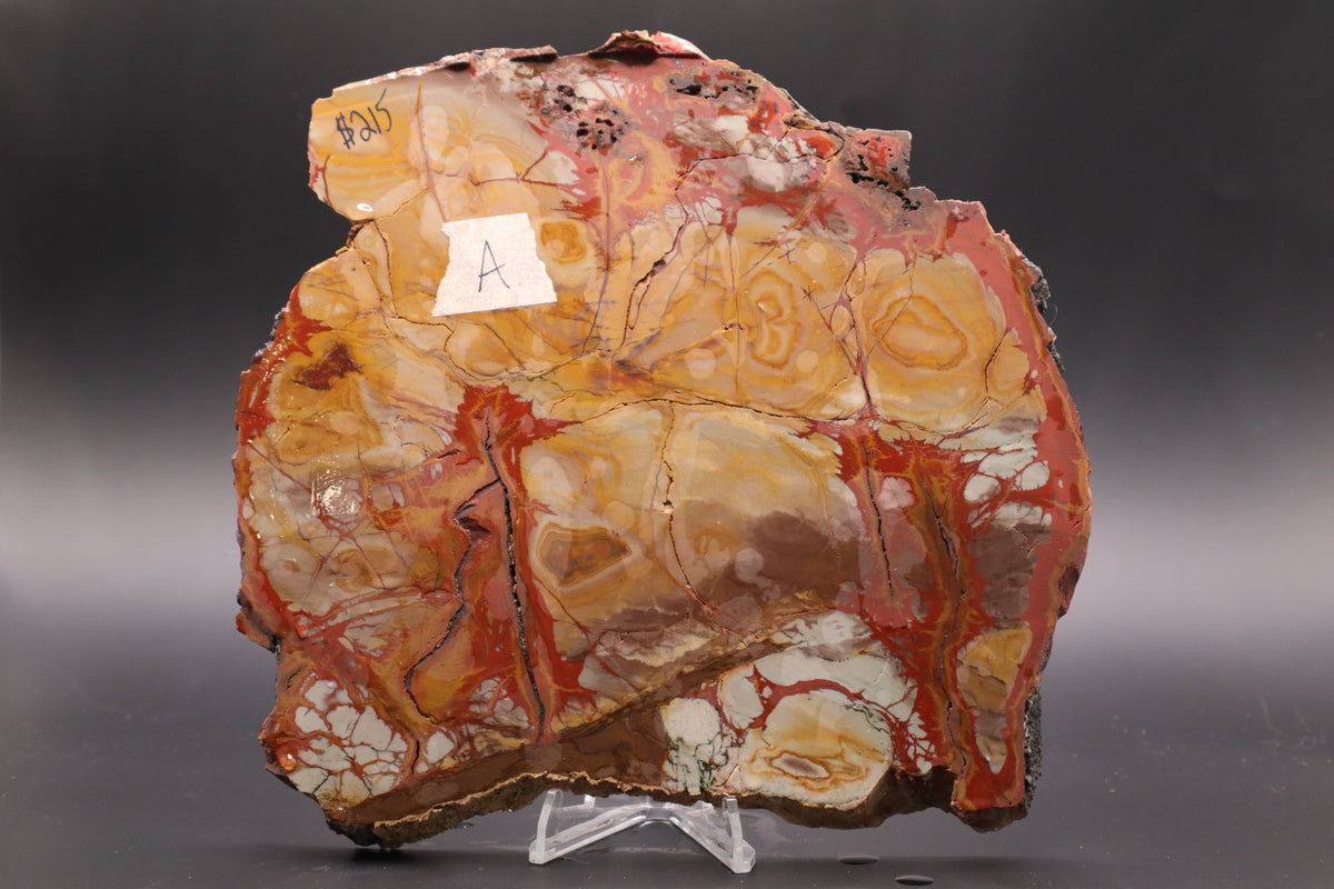 Dead Camel Jasper (Collector's Grade)