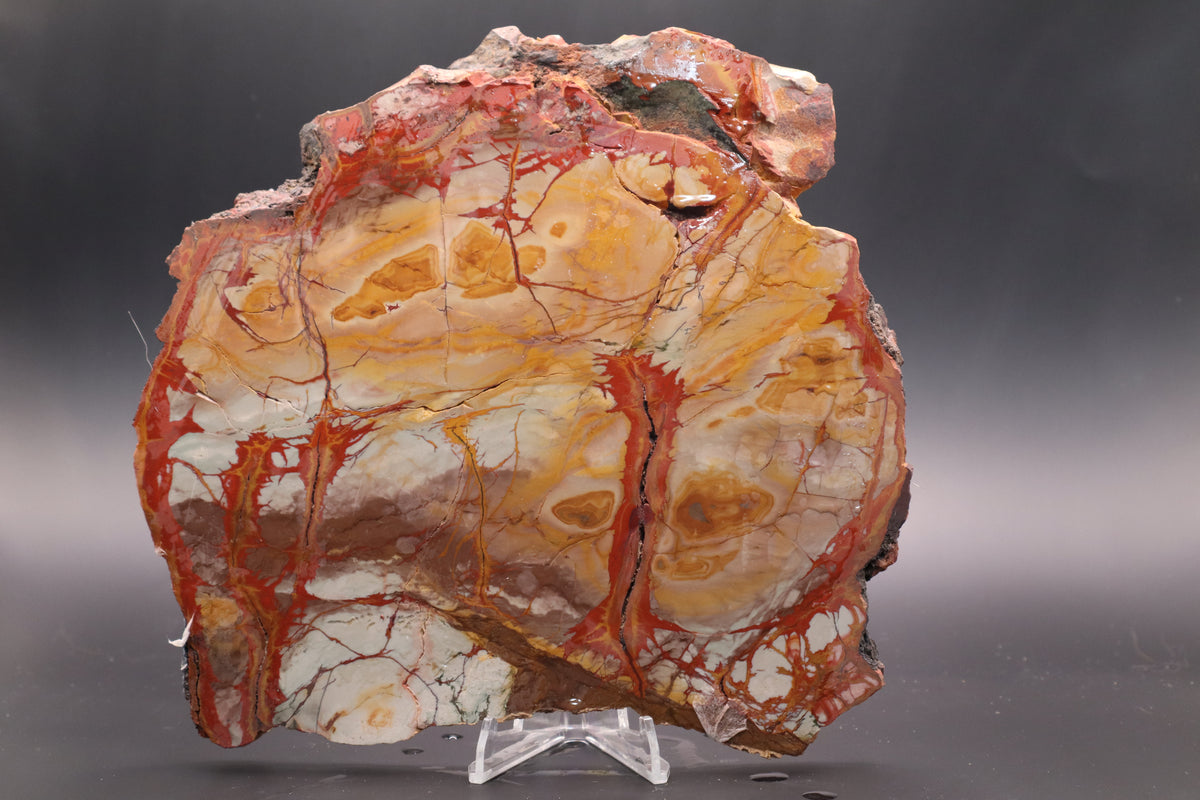 Dead Camel Jasper (Collector's Grade)