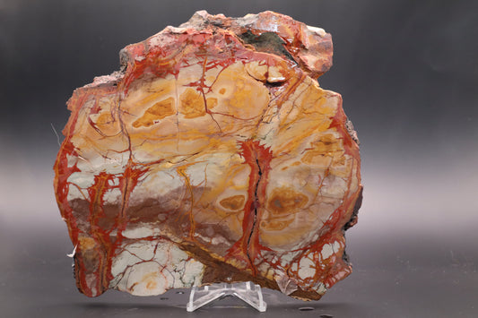 Dead Camel Jasper (Collector's Grade)