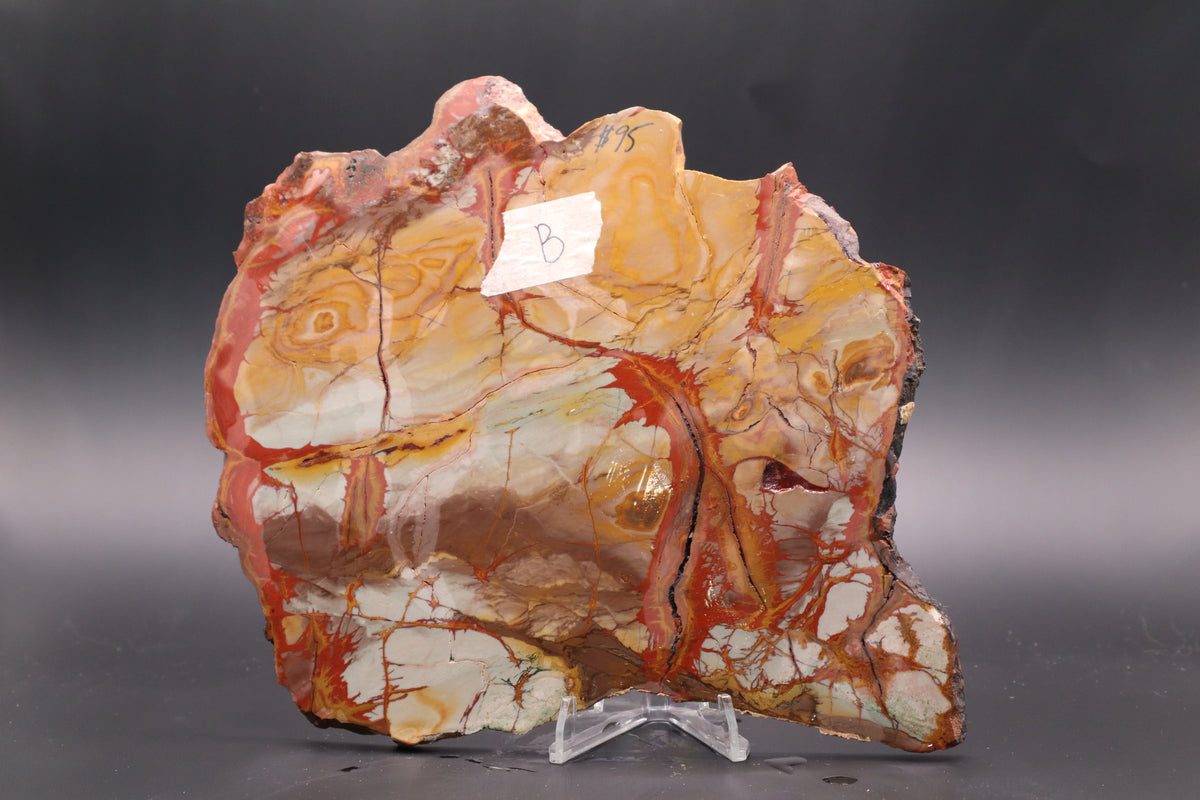 Dead Camel Jasper (Collector's Grade)