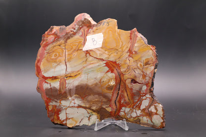 Dead Camel Jasper (Collector's Grade)