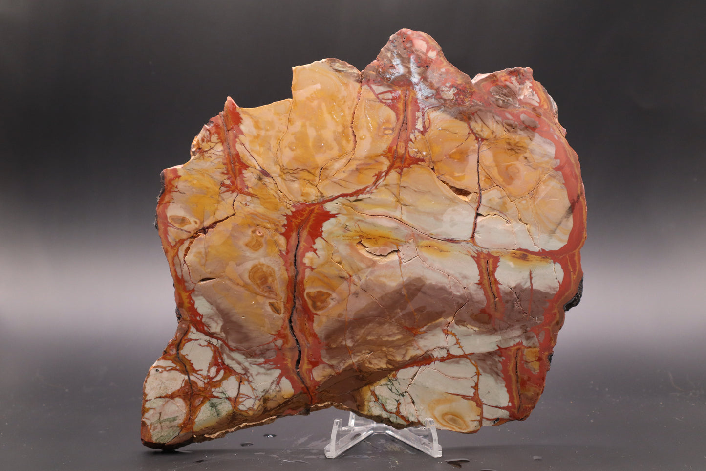 Dead Camel Jasper (Collector's Grade)