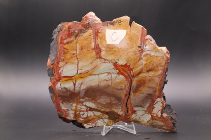 Dead Camel Jasper (Collector's Grade)