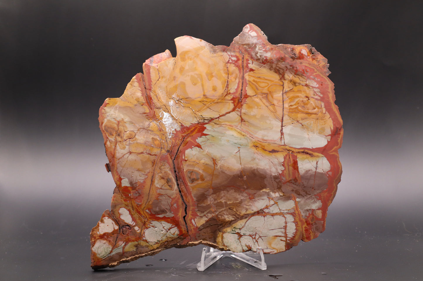 Dead Camel Jasper (Collector's Grade)