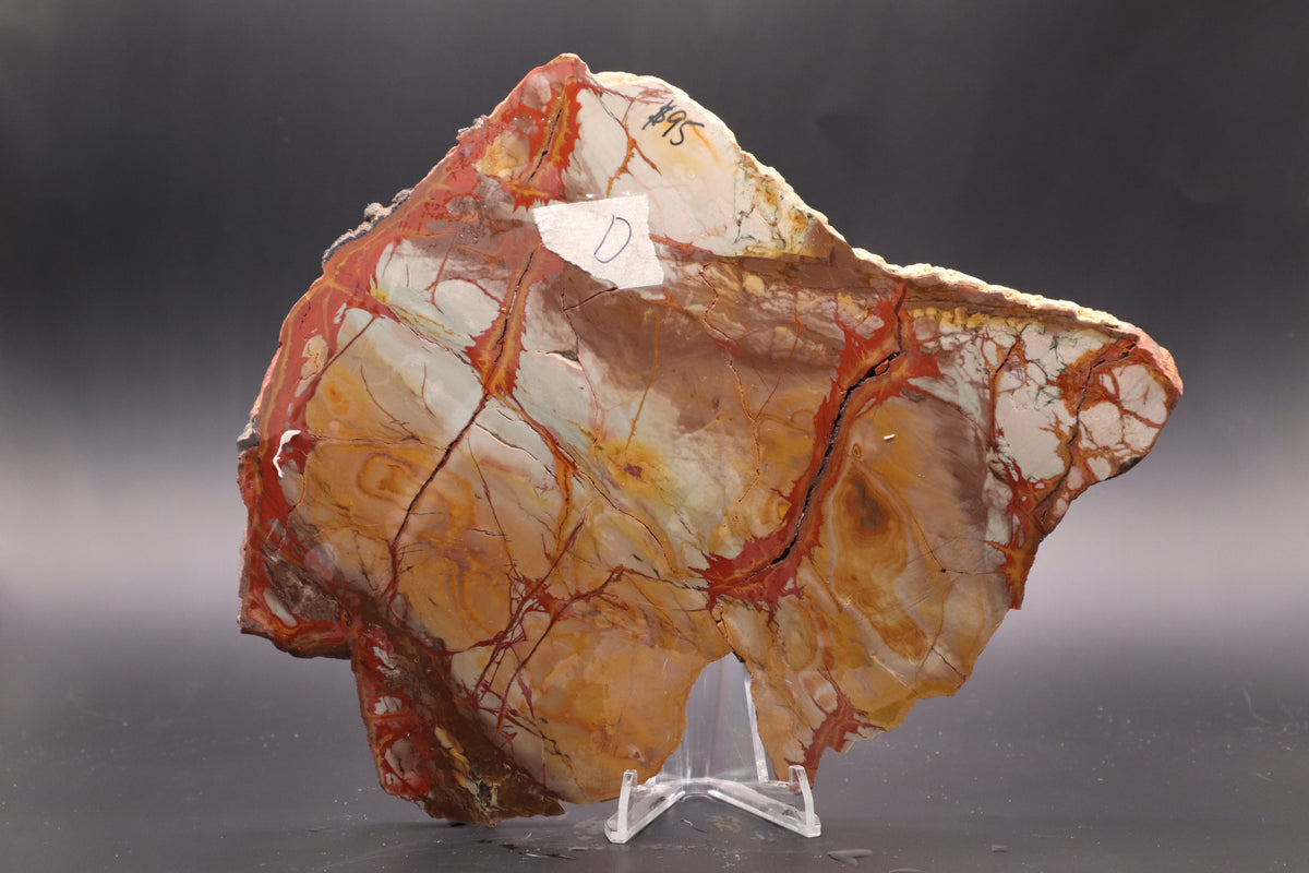 Dead Camel Jasper (Collector's Grade)