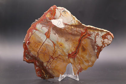Dead Camel Jasper (Collector's Grade)
