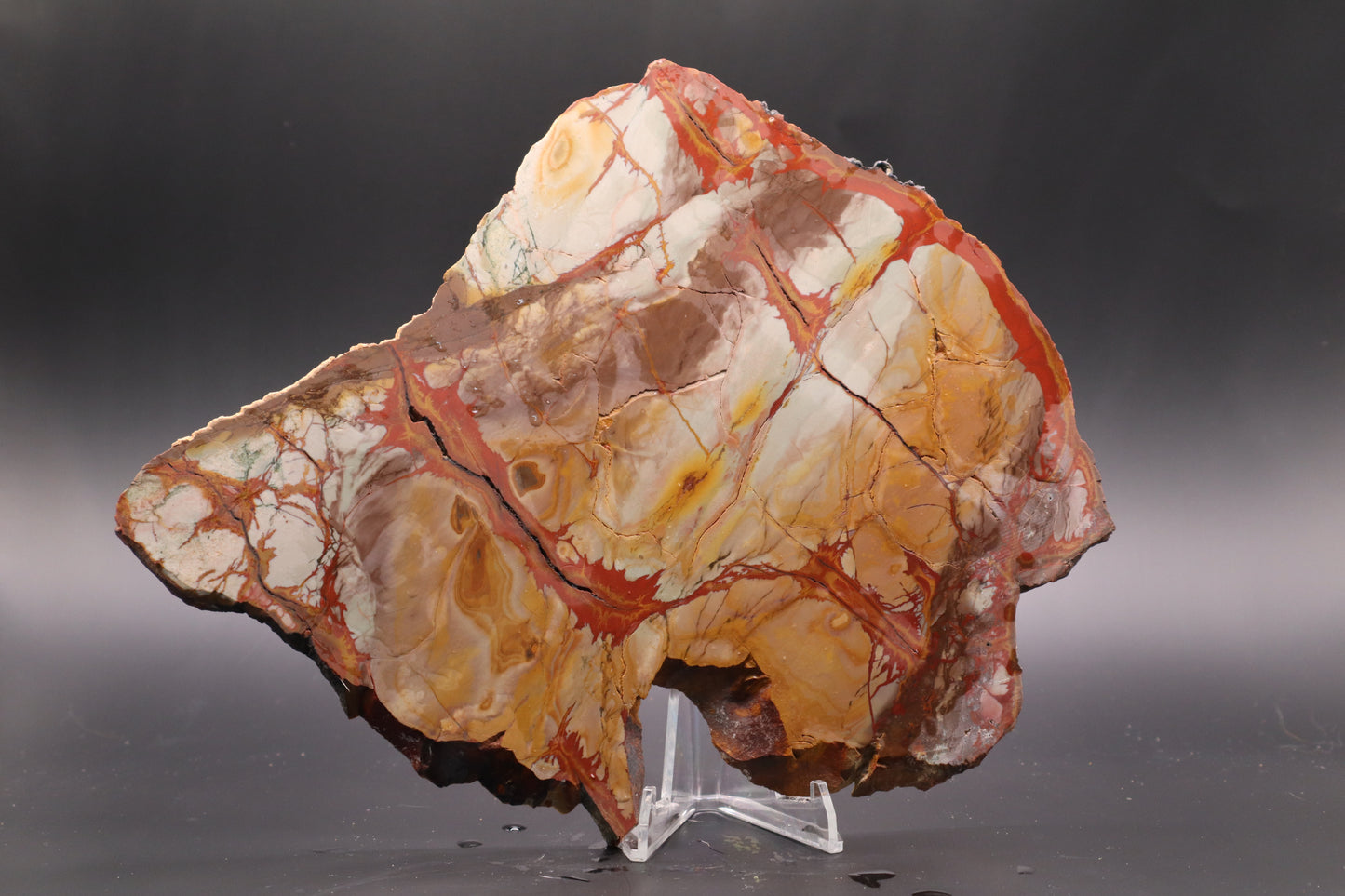 Dead Camel Jasper (Collector's Grade)
