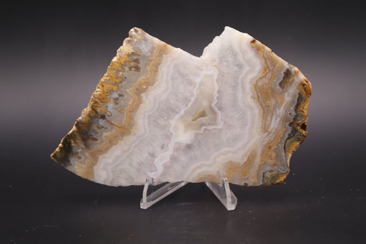 Sowbelly Agate slab (Unpolished)