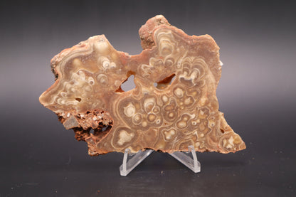 Kokoweef Calcite slab (Unpolished)