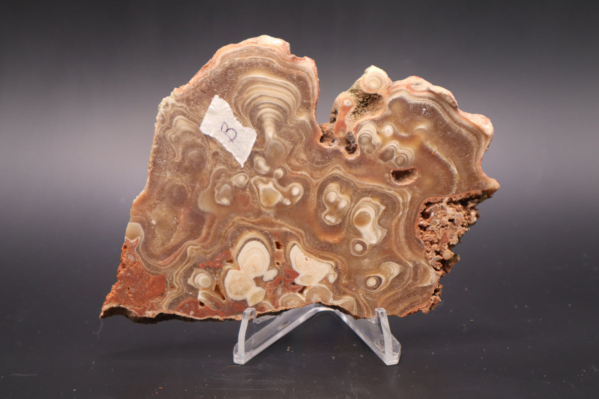 Kokoweef Calcite slab (Unpolished)