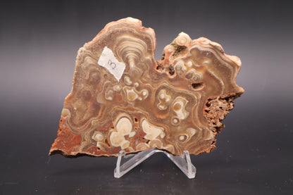Kokoweef Calcite slab (Unpolished)