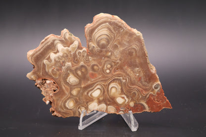 Kokoweef Calcite slab (Unpolished)