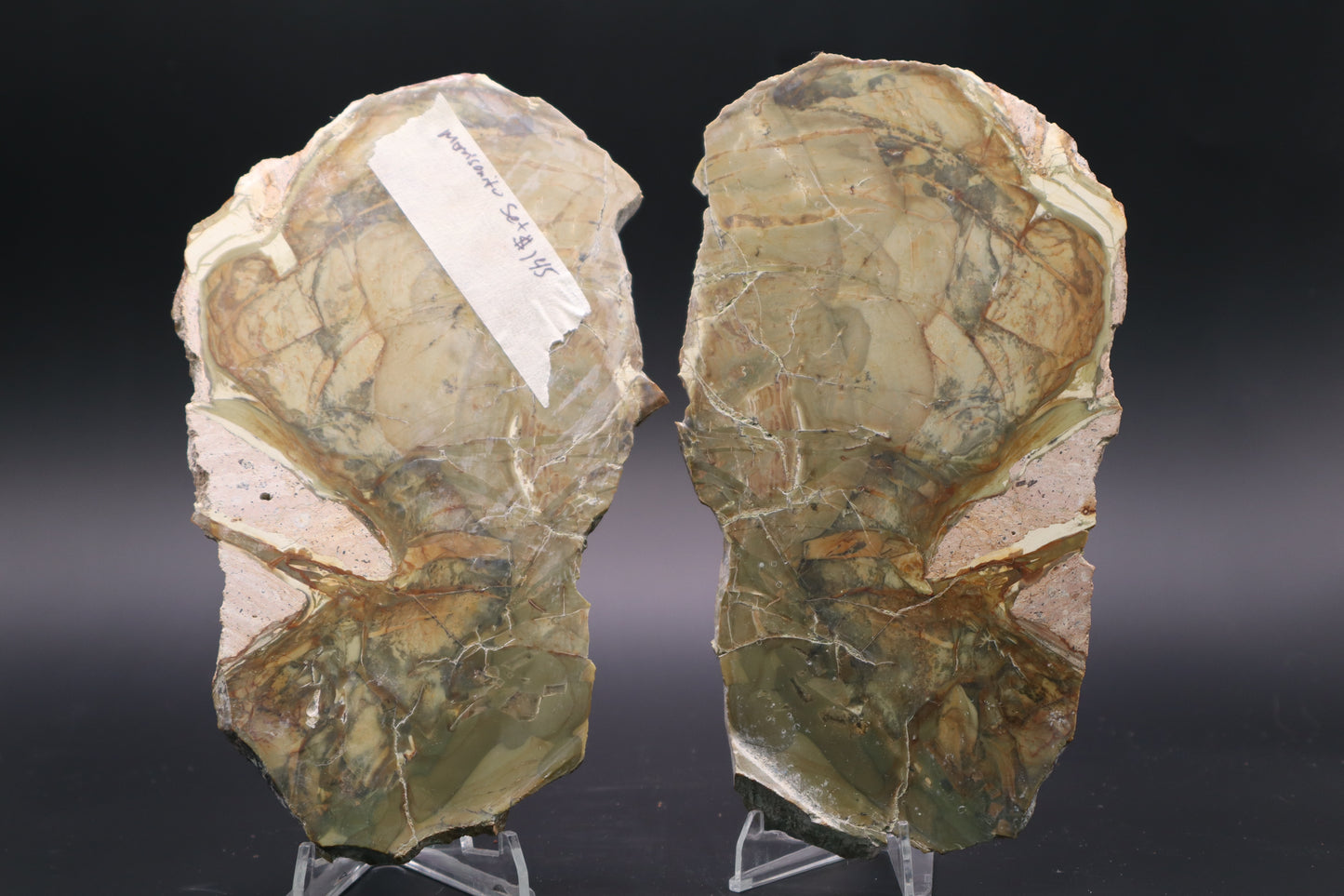 Morrisonite Jasper slab (Unpolished Butterfly set)