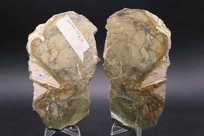 Morrisonite Jasper slab (Unpolished Butterfly set)